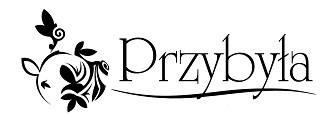Arkadiusz Przybyła
